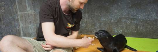 Wrocławskie zoo zorganizuje praktyki dla studentów nowego kierunku. Opiekun zwierząt na Uniwersytecie Rolniczym