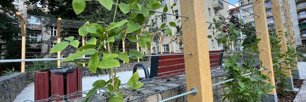 Nowe zielone podwórko na Ołbinie. Kosztowało 1,6 mln zł [ZDJĘCIA]