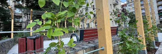 Nowe zielone podwórko na Ołbinie. Kosztowało 1,6 mln zł [ZDJĘCIA]