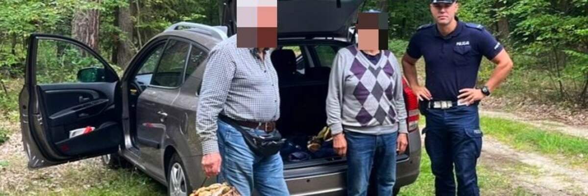Emocje jak na grzybach? Tych grzybiarzy musiała ratować policja
