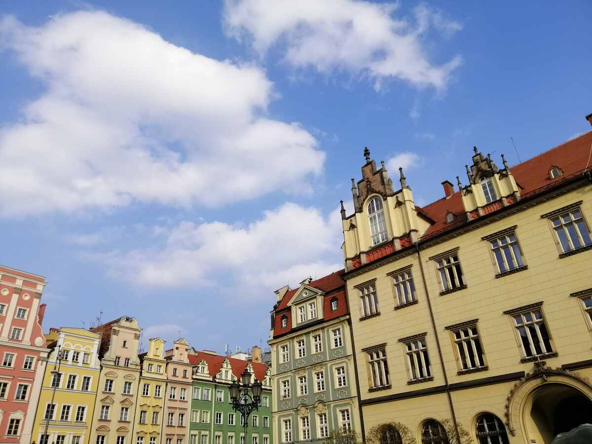Przeszczep włosów Wrocław - na czym to polega? Gdzie szukać profesjonalnej kliniki?