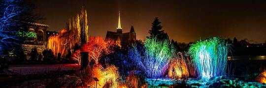 W piątek rusza Światłogród! Wrocław będzie miał swój park ze świątecznymi iluminacjami