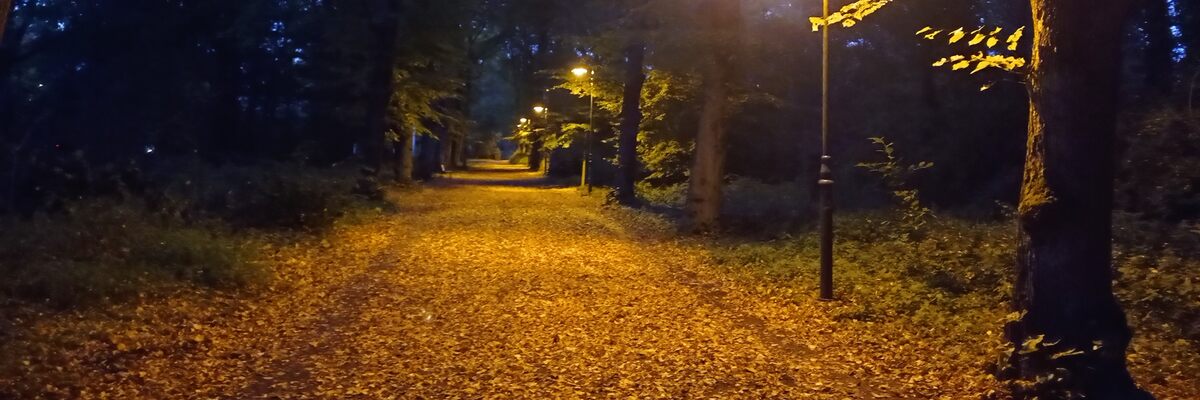 Dlaczego we wrocławskich parkach zalegają liście? Miasto przekonuje, że to nie efekt zaniedbania