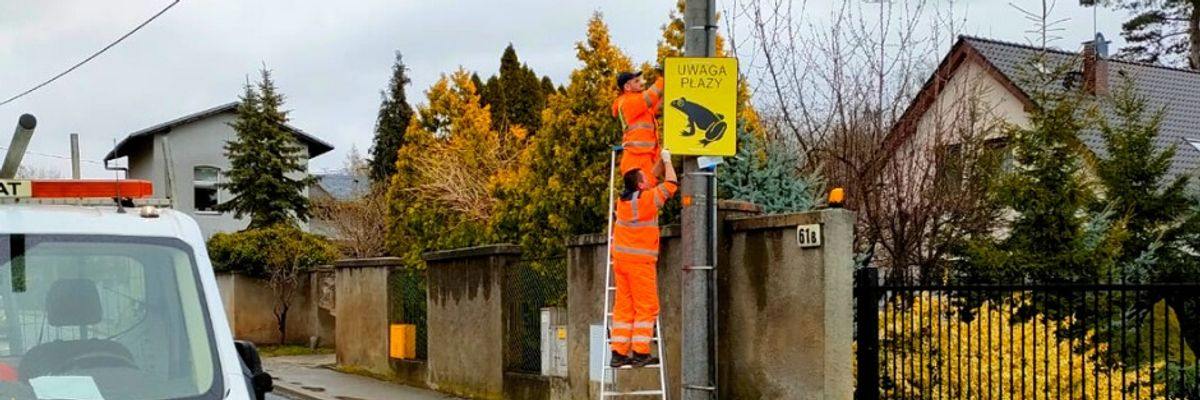 „Uwaga płazy!”. We Wrocławiu zawisnął kolejny znak przestrzegający przed dzikimi zwierzętami [ZDJĘCIA]