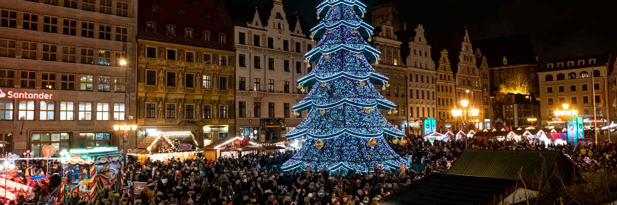 Choinka na wrocławskim Rynku już świeci. Na jej pierwsze rozświetlenie przyszły tłumy [ZDJĘCIA]