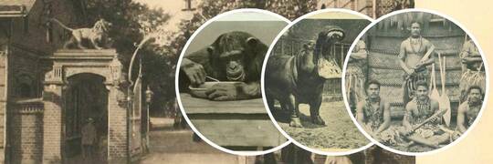 Tak 100 lat temu wyglądało wrocławskie zoo [ARCHIWALNE ZDJĘCIA]