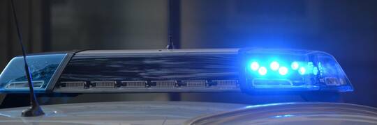 Wrocław: Policja prowadzi śledztwo ws. zwłok psa w Parku Szczytnickim