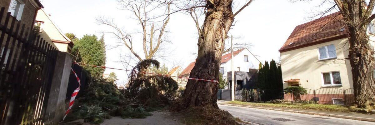 Nad Polskę nadciąga cyklon „Flurin”. Jest ostrzeżenie dla Wrocławia