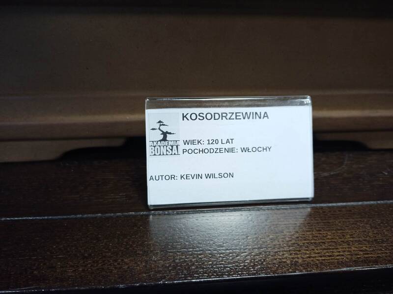 fot. Marta Muraszkowska
