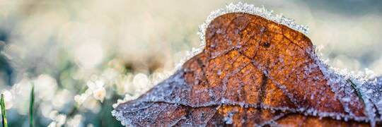 Do Wrocławia wraca zima. IMGW przestrzega: W nocy nawet -8°C