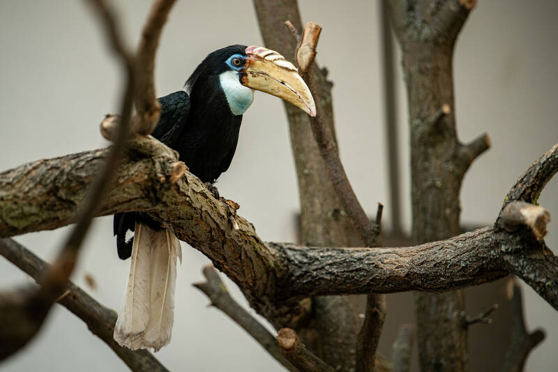 fot. ZOO Wrocław