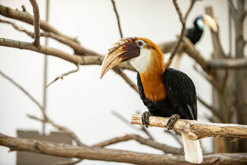 fot. ZOO Wrocław