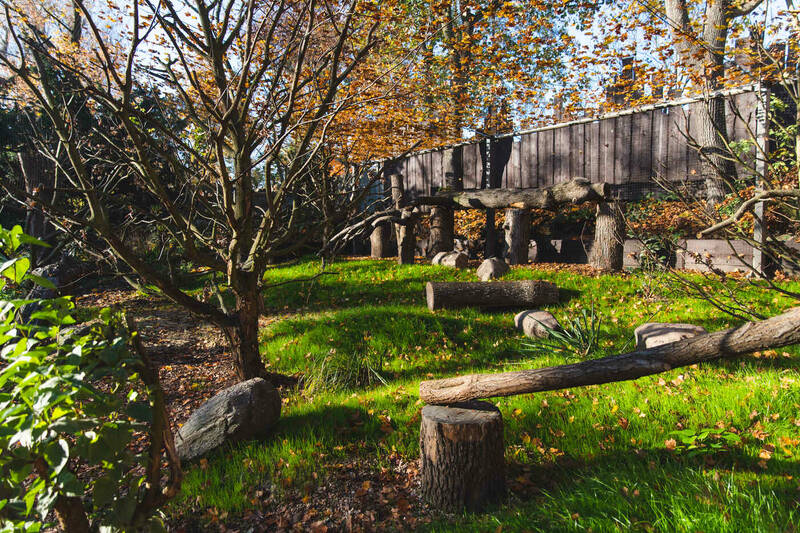 fot. ZOO Wrocław