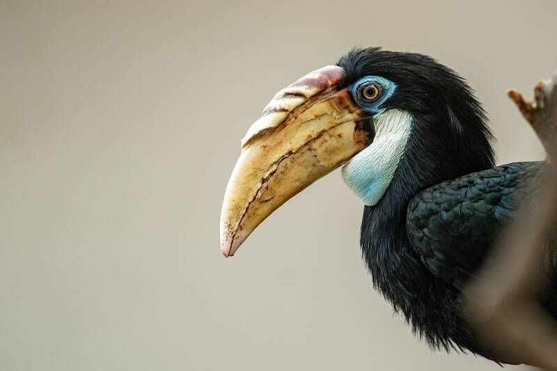 fot. ZOO Wrocław