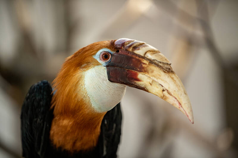 fot. ZOO Wrocław