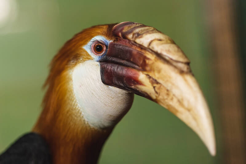 fot. ZOO Wrocław