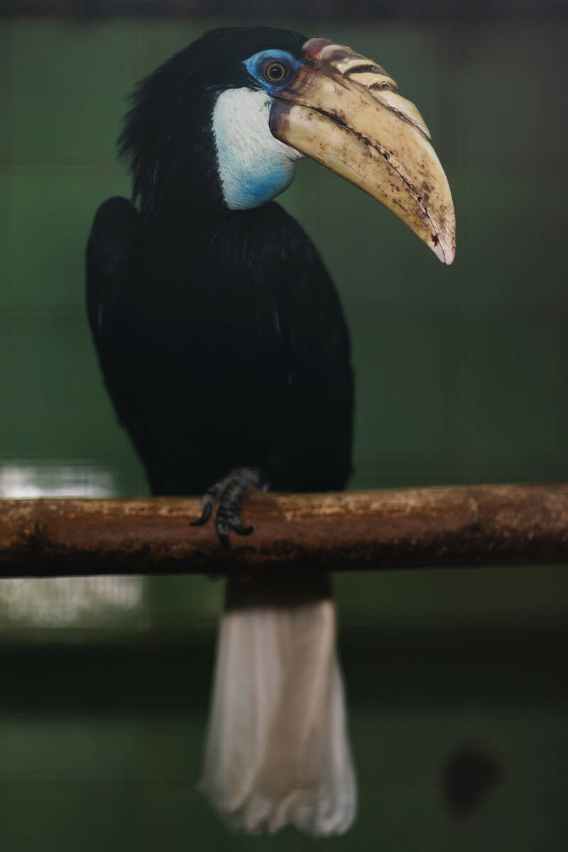fot. ZOO Wrocław