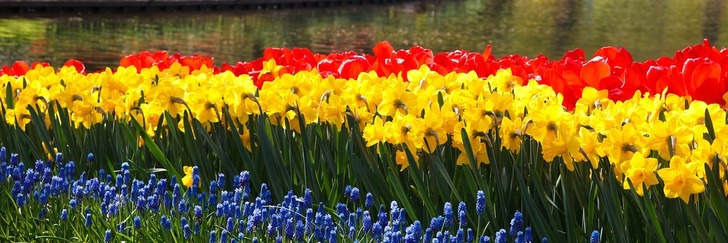Majówka w Ogrodzie Botanicznym - травневі вихідні у  Ботанічному саду Вроцлавського Університeтy