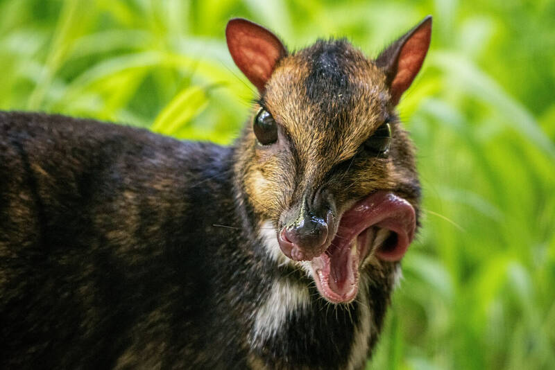 fot. ZOO Wrocław