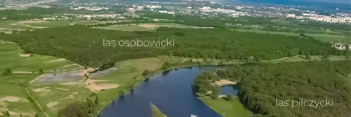 Wrocławskie ARCHistorie: Tajemnice osobowickiej puszczy