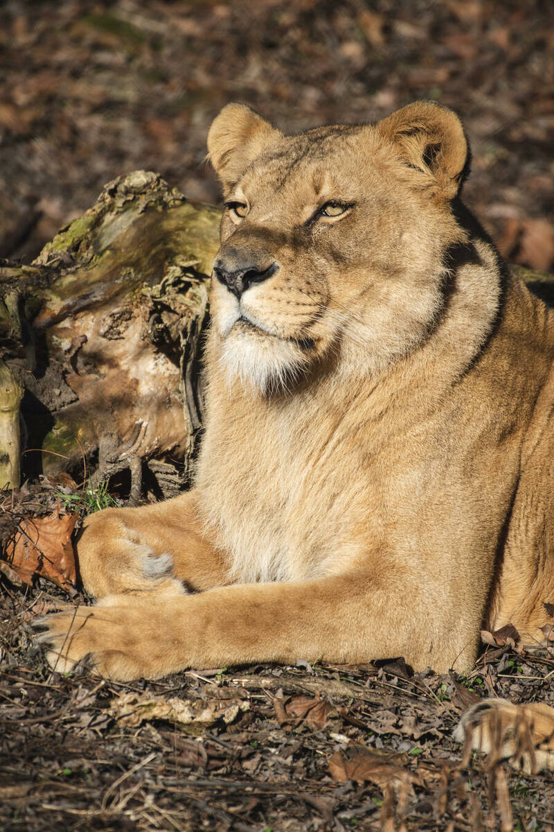 fot. ZOO Wrocław