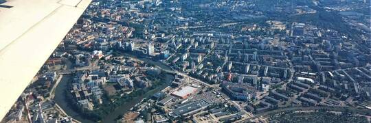 Wrocław przygotowuje Mapę Koron Drzew. Co to takiego i do czego będzie służyć?