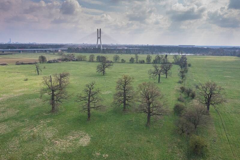 fot. UM Wrocławia