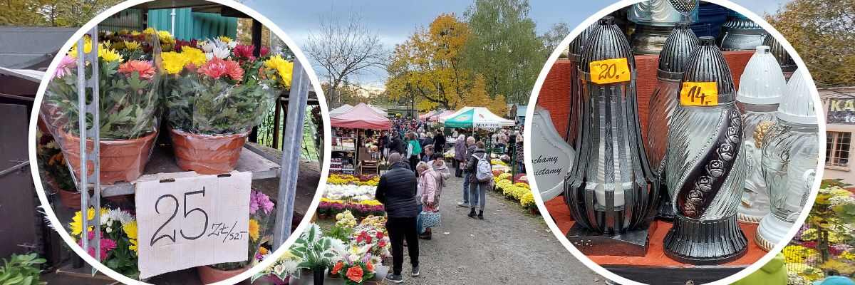 Ceny pod cmentarzem we Wrocławiu. Ile w tym roku kosztują chryzantemy i znicze? [CENY, ZDJĘCIA]