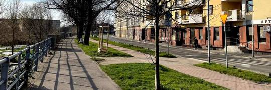 Czy w tym roku miasto też zarośnie trawami? Oto zasady EKOszenia 2022 we Wrocławiu