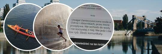 Złote algi w Odrze. NIK opublikował wyniki kontroli po katastrofie ekologicznej