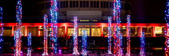Iluminacja świąteczna nie tylko w Rynku. Zobacz, jak pięknie udekorowana jest Pergola i Hala Stulecia [ZDJĘCIA]