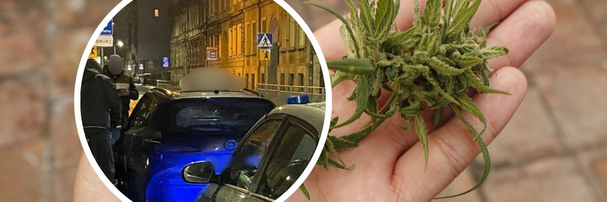 Wrocław: Marihuana z dowozem do domu. Towar przywoziła taksówka