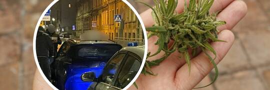 Wrocław: Marihuana z dowozem do domu. Towar przywoziła taksówka