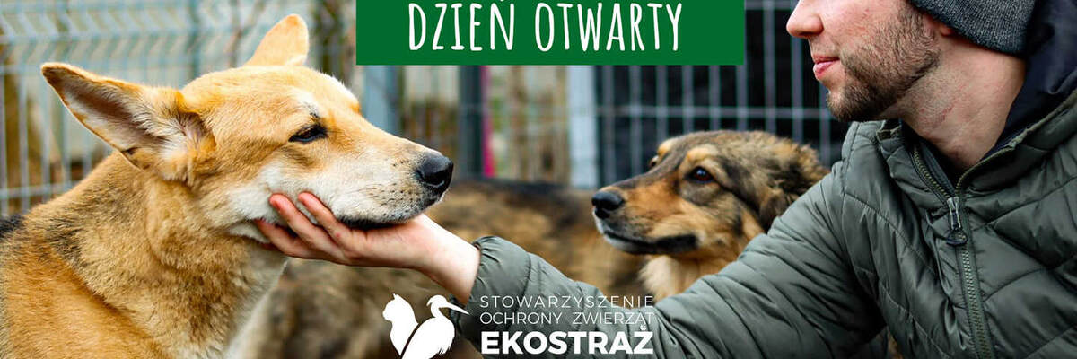 W niedzielę Adopcyjny Dzień Otwarty w Ekostraży