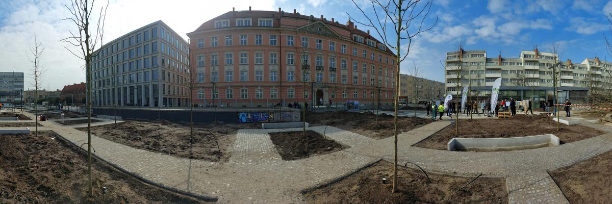 Na placu Nowy Targ posadzili już drzewa. Sprawdziliśmy, jak idzie rozbetonowywanie? [ZDJĘCIA]