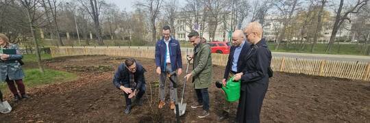 We Wrocławiu powstaje las Miyawaki. Został posadzony przy… Podwalu [ZDJĘCIA]