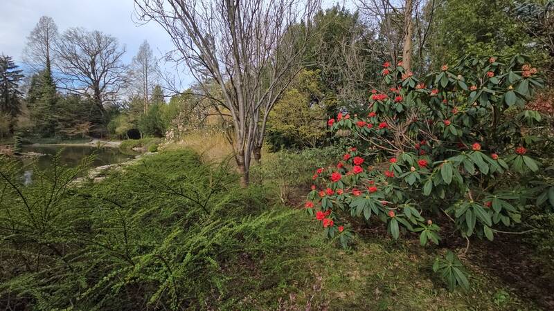 fot. ZZM