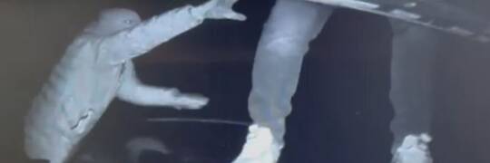 Na Dolnym Śląsku działał gang okradający tiry. Robili to w trakcie jazdy [WIDEO]