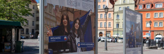 „Miasto Stu Mostów do Europy”. We Wrocławiu stanęła wystawa wspierająca Gruzję w drodze do Unii Europejskiej