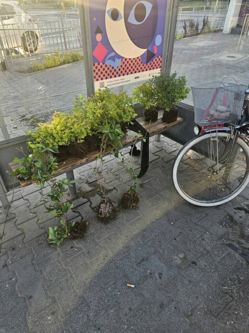fot. Straż Miejska Wrocławia