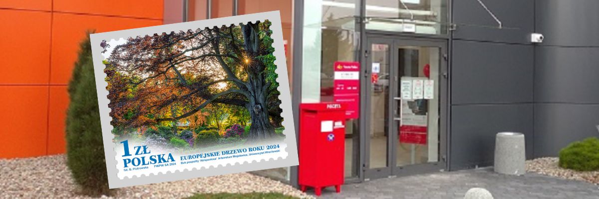 Drzewo spod Wrocławia na 2 mln znaczków Poczty Polskiej