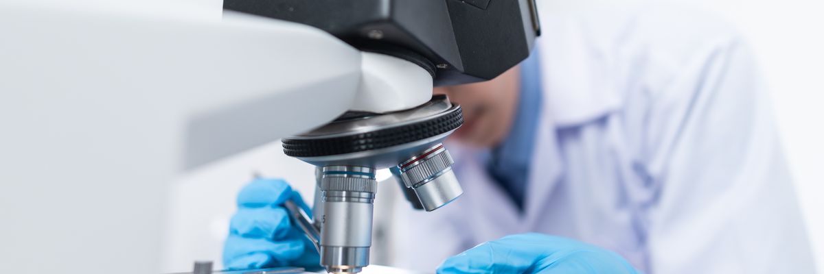 Matura z biologii 2022. Jak wygląda arkusz maturalny? Biologia rozszerzona – jakie zadania na maturze? [ARKUSZ, ZADANIA, ODPOWIEDZI]