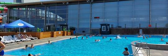 Wrocławski Aquapark organizuje Mistrzostwa w Pływaniu Pieskiem