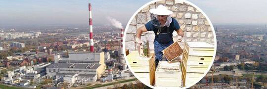 Wrocławska elektrociepłownia produkuje już nie tylko ciepło i prąd. Nowy produkt to miód