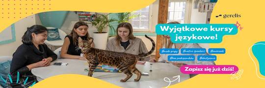 Poziomy języka angielskiego - wszystko co warto wiedzieć