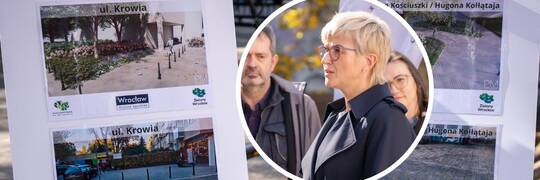 Wrocław: Po pl. Nowy Targ miasto chce zazielenić teraz prowadzącą do niego ulicę