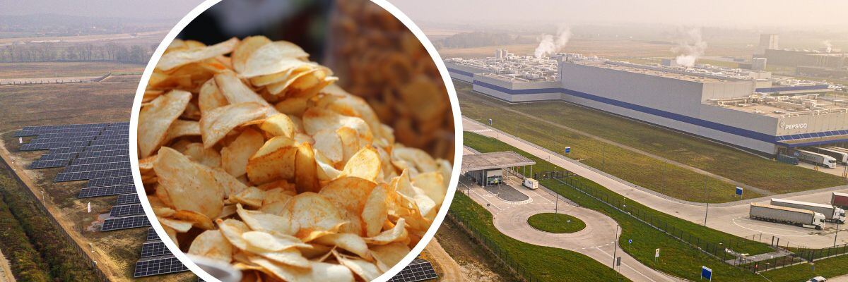 Energia słoneczna posłuży do wypiekania chipsów. Producent Lay’sów inwestuje pod Wrocławiem