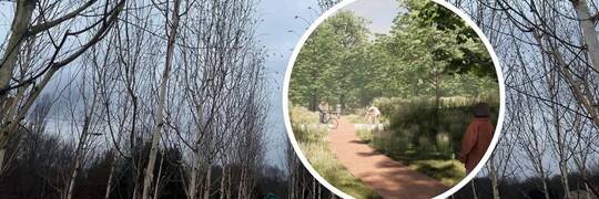 Park Szczytnicki się powiększa. Miasto rozpoczęło nasadzenia na sąsiedniej działce [ZDJĘCIA]