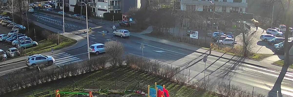 Wrocław: Kierowca przejechał psa na oczach właścicielki i uciekł. Ekostraż prosi o pomoc