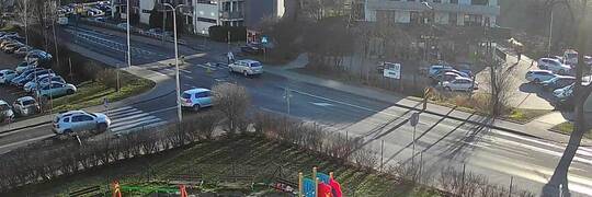 Wrocław: Kierowca przejechał psa na oczach właścicielki i uciekł. Ekostraż prosi o pomoc